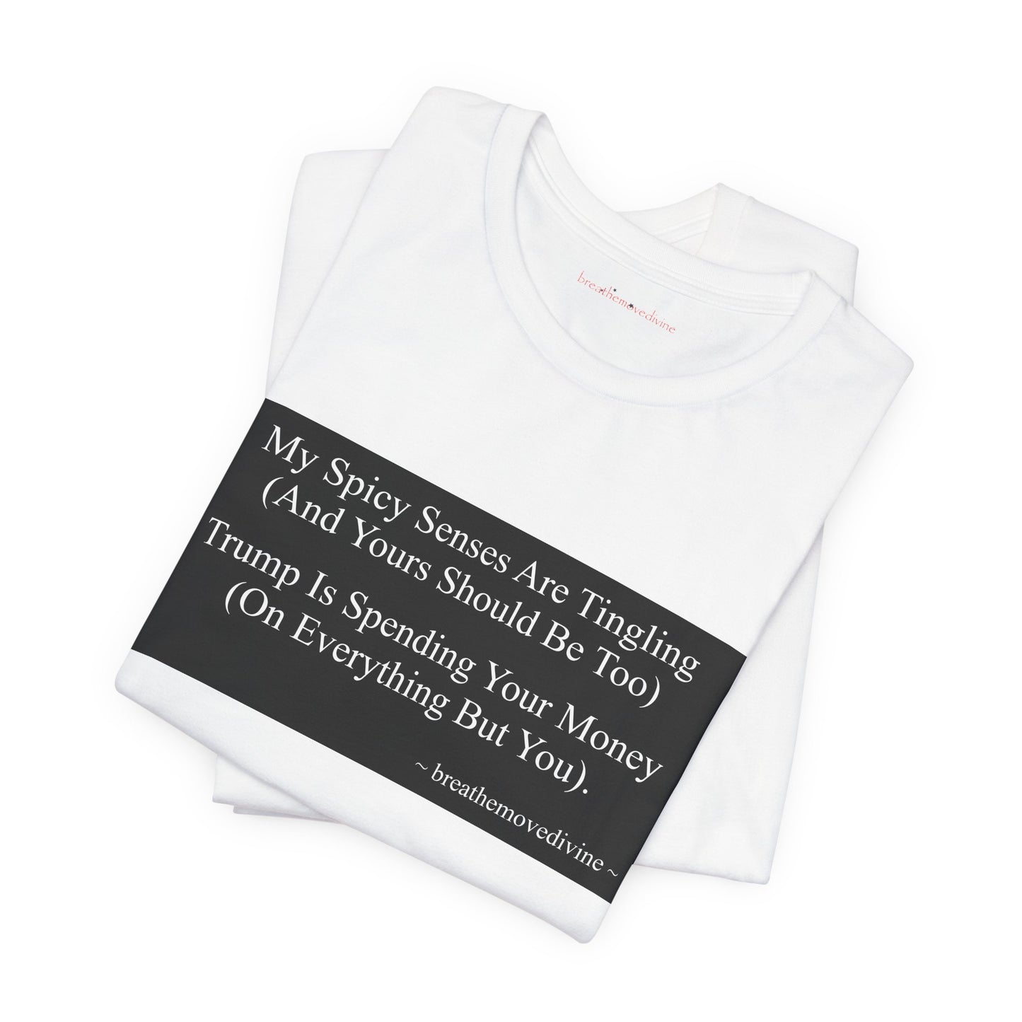 It is OUR Money Unisex T - breathemovedivine RESIST