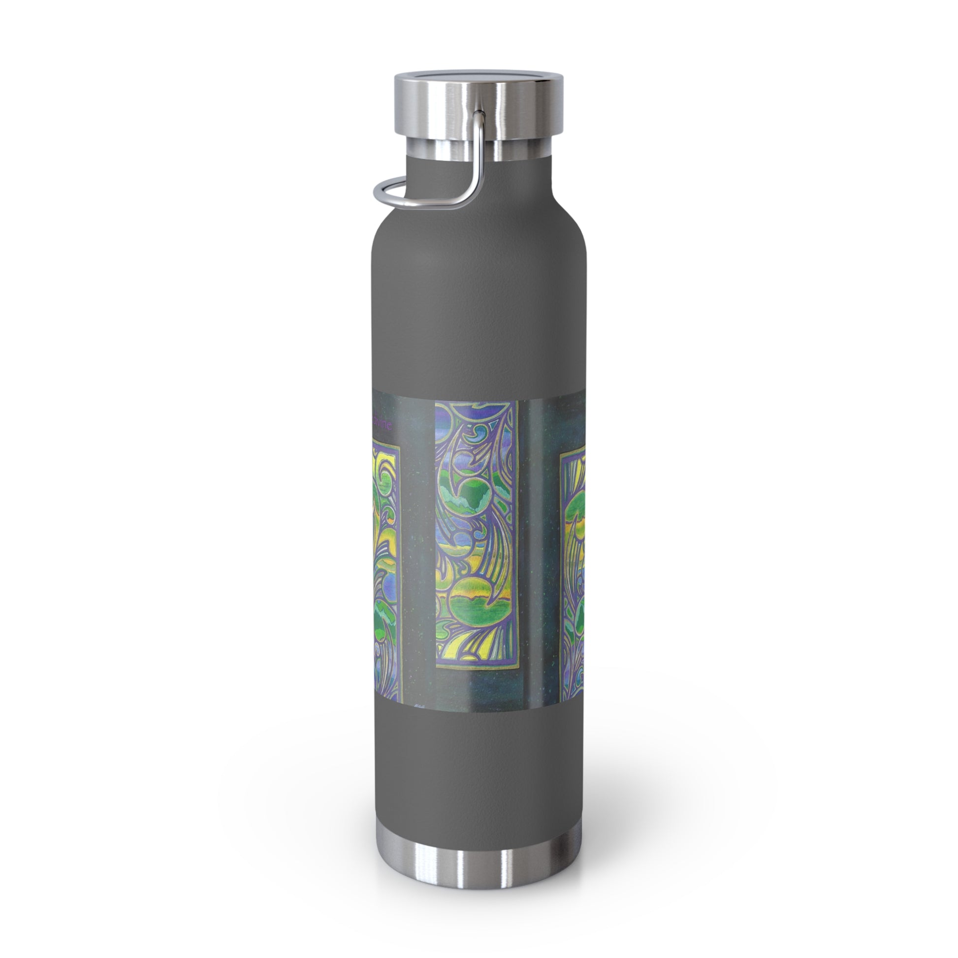 22oz reusable insulated water bottle