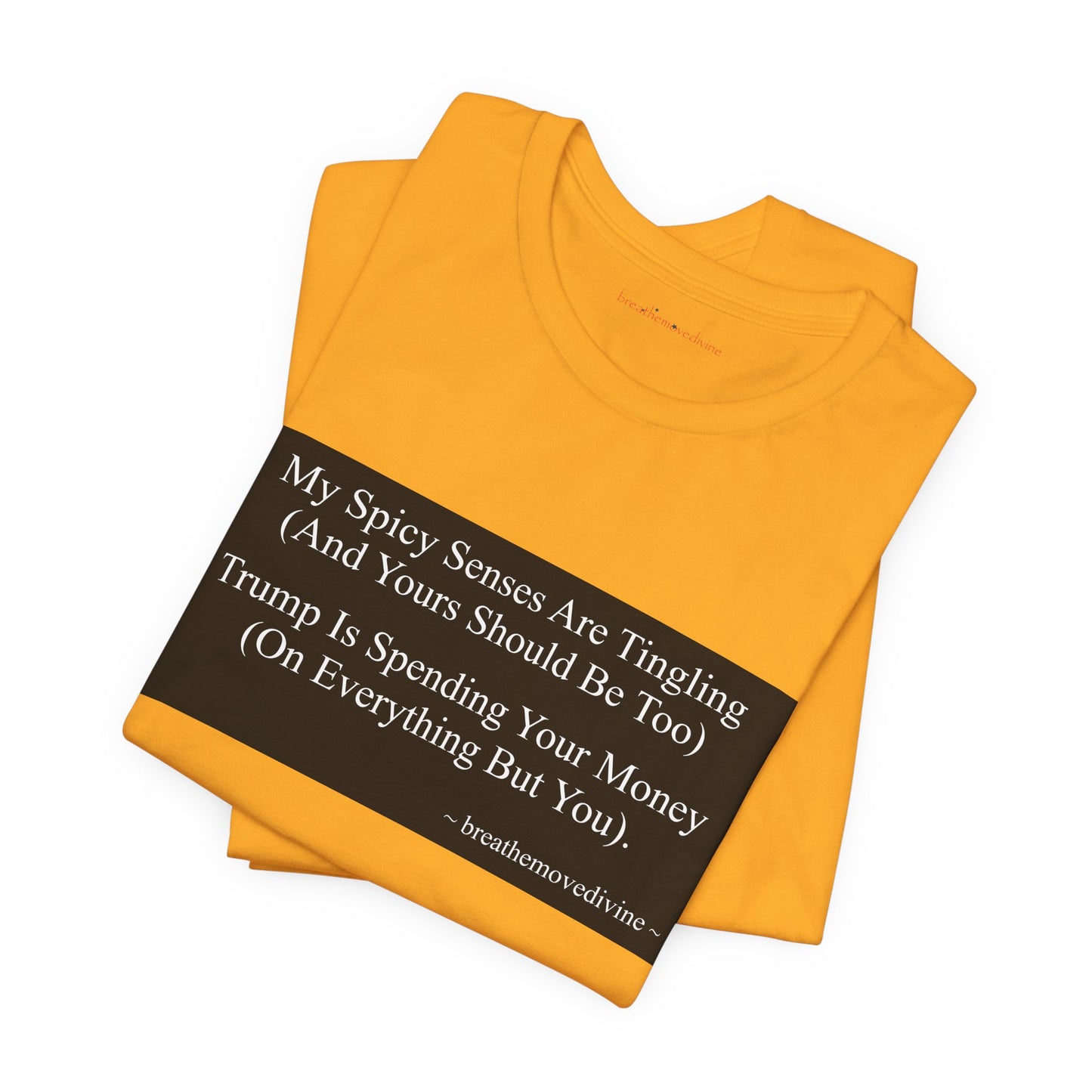 It is OUR Money Unisex T - breathemovedivine RESIST