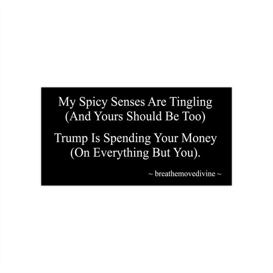 It's OUR Money Bumper Sticker - breathemovedivine RESIST - breathemovedivine